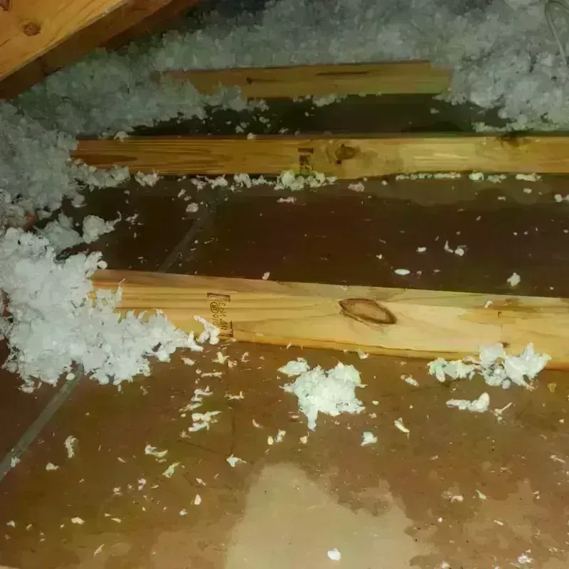 Attic Water Damage in Rushford, MN