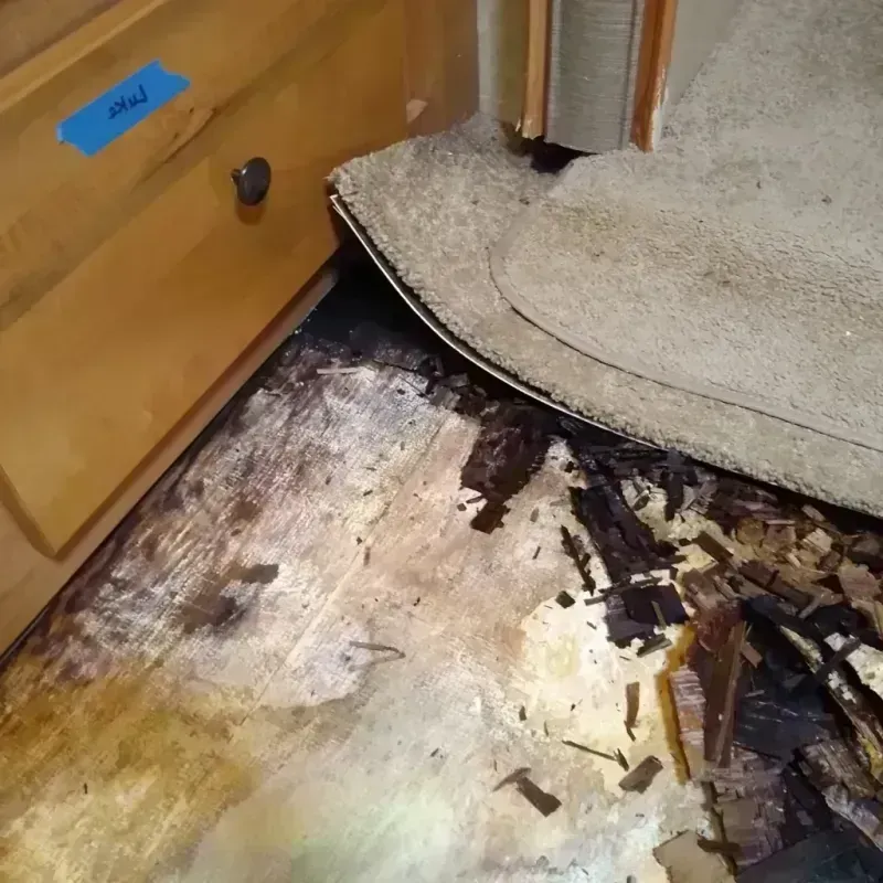 Wood Floor Water Damage in Rushford, MN